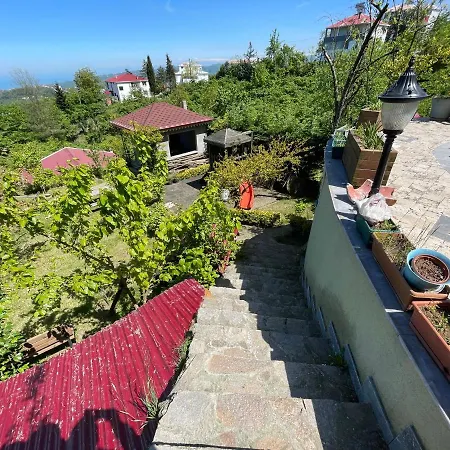 Nova North Tourism & Karlik